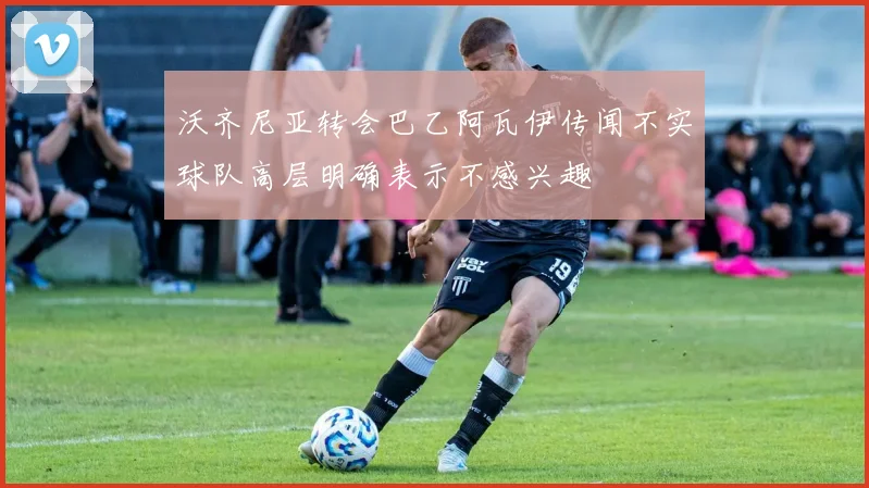 沃齐尼亚转会巴乙阿瓦伊传闻不实球队高层明确表示不感兴趣