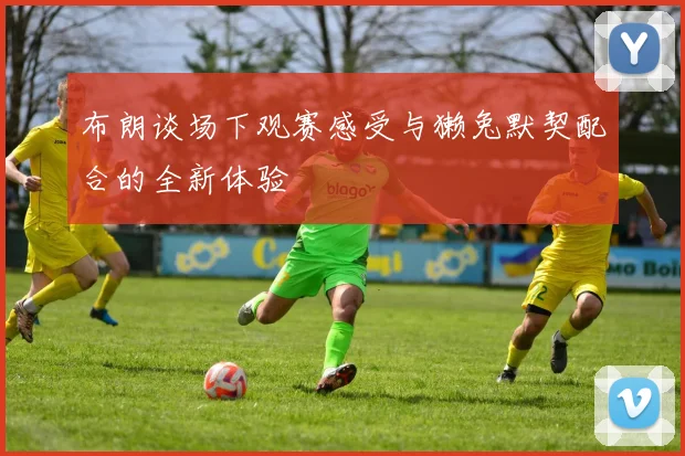 布朗谈场下观赛感受与獭兔默契配合的全新体验